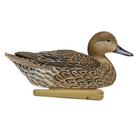 Avian-X Topflight Pintail Decoys